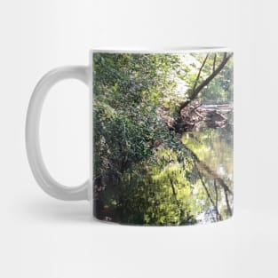 Creek Scenery Landscape Photograph of Beautiful Indian Creek Mug